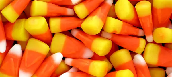can guinea pigs eat candy corn